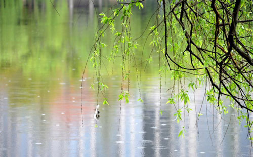 雨中的鋼鐵之歌 —— 東潤(rùn)利達(dá)鋼材產(chǎn)品的雨季故事