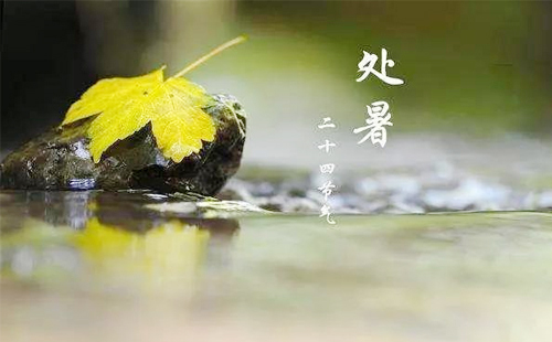 【東潤(rùn)利達(dá)物資·處暑鋼韻，筑夢(mèng)未來(lái)】